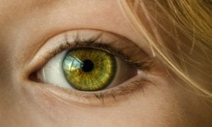 superfoods that improve your eyesight